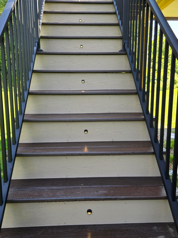 Gallery 7